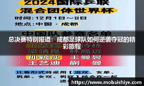 总决赛特别报道：成都足球队如何逆袭夺冠的精彩旅程